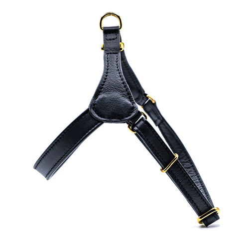 Bib