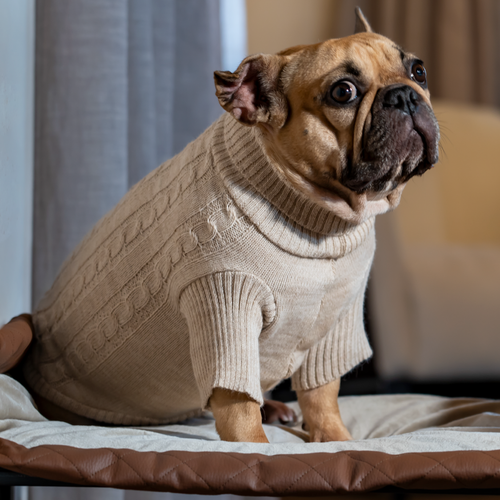 Puno Cloak - Turtleneck Sweater