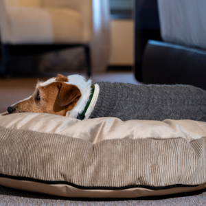 Rectangular Cushion