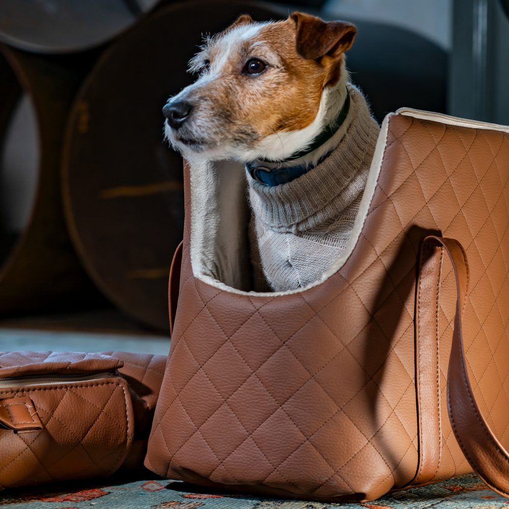 Royal Rest Carrier