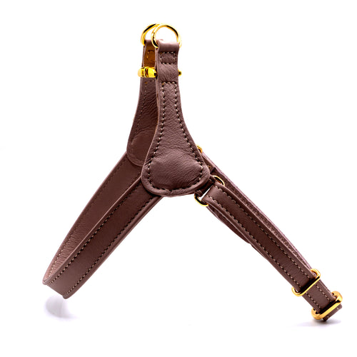 Bib
